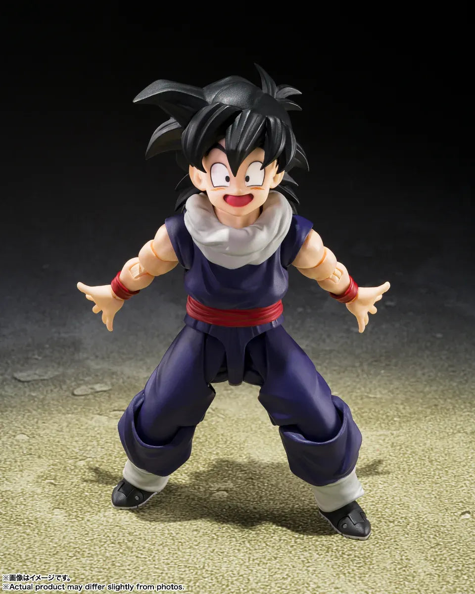 Dragon Ball Z-fighters Son Gohan Limited Edition Group Base A S.H.Figuarts