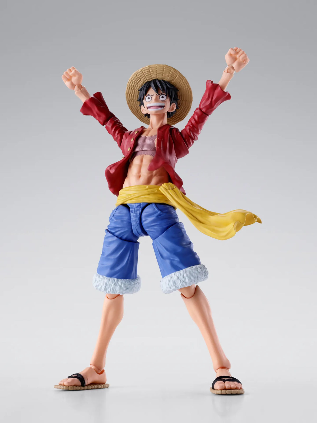 One Piece: Monkey.D.Luffy Two Years Later S.H.Figuarts