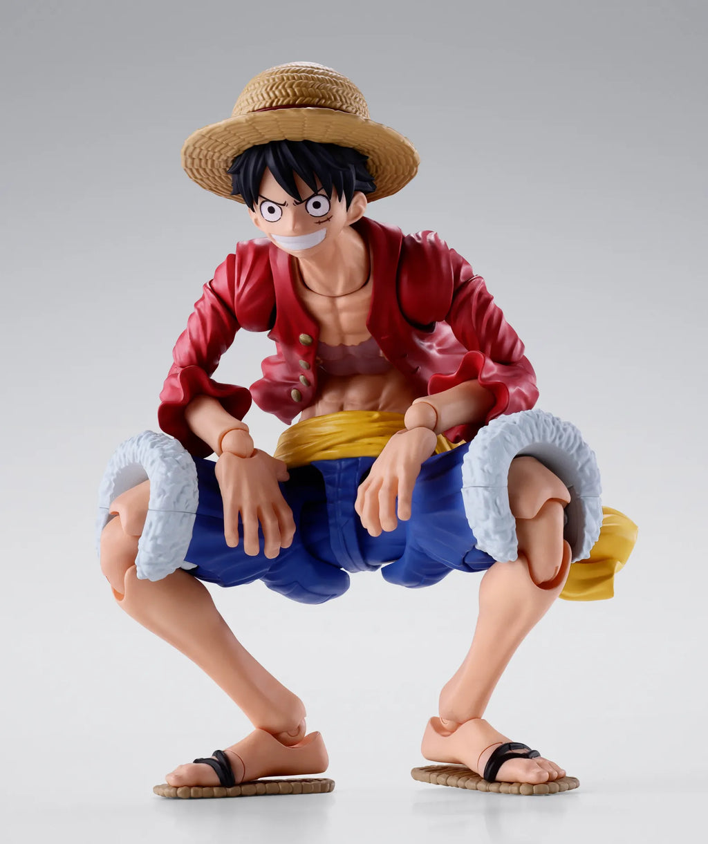 One Piece: Monkey.D.Luffy Two Years Later S.H.Figuarts
