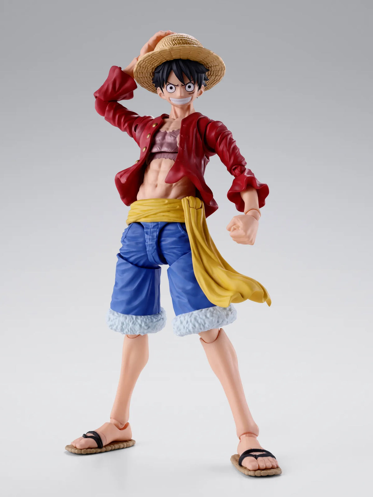 One Piece: Monkey.D.Luffy Two Years Later S.H.Figuarts