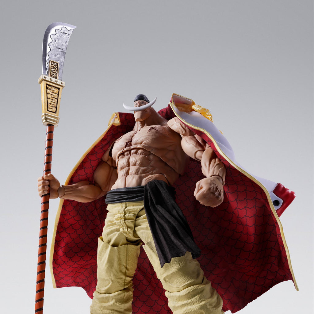 One Piece: Edward Newgate Whitebeard Marineford S.H.figuarts