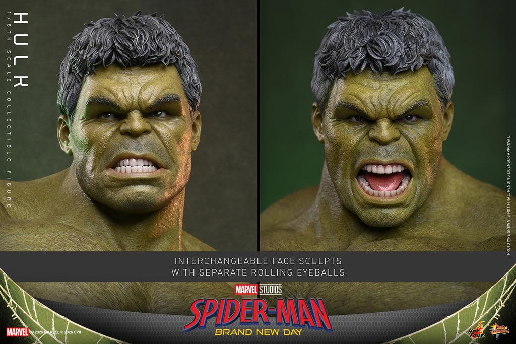 Hot Toys Hulk - Spider-Man: Brand New Day 1/6 Scale Action Figure